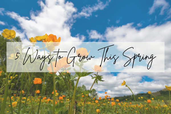 5 Ways to Grow This Spring
