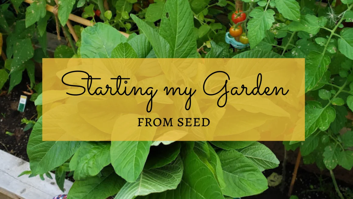 Starting My 2021 Garden from Seed – Vegetables, Herbs, Flowers