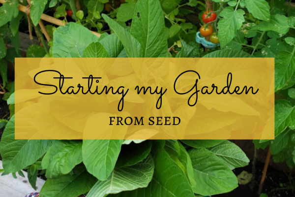 Starting My 2021 Garden from Seed – Vegetables, Herbs, Flowers