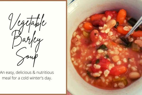 Vegetable Barley Soup